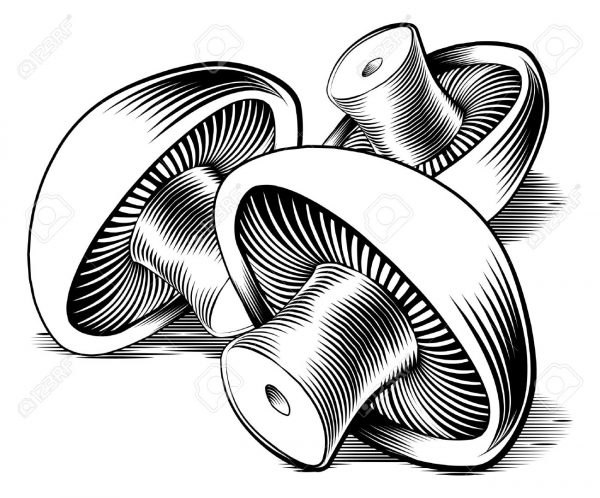 Tip