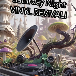 Dinj mini morph promo vid - Vinyl Revival